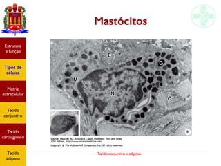 Tecido conjuntivo e adiposo
Mastócitos
Estrutura
e função
Tipos de
células
Matriz
extracelular
Tecido
conjuntivo
Tecido
adiposo
Estrutura
e função
Tipos de
células
Matriz
extracelular
Tecido
conjuntivo
Tecido
cartilaginoso
Tecido
adiposo
 