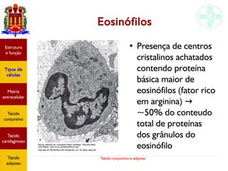 Tecido conjuntivo e adiposo
Estrutura
e função
Tipos de
células
Matriz
extracelular
Tecido
conjuntivo
Tecido
adiposo
Eosinófilos
● Presença de centros
cristalinos achatados
contendo proteína
básica maior de
eosinófilos (fator rico
em arginina) →
~50% do conteudo
total de proteínas
dos grânulos do
eosinófilo
Estrutura
e função
Tipos de
células
Matriz
extracelular
Tecido
conjuntivo
Tecido
cartilaginoso
Tecido
adiposo
 