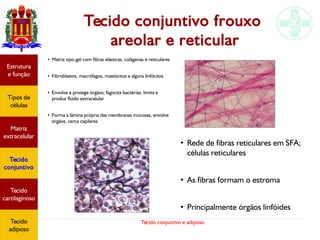 Tecido conjuntivo e adiposo
Tecido conjuntivo frouxo
areolar e reticular
●
Matriz tipo-gel com fibras elásticas, colágenas e reticulares
●
Fibroblastos, macrófagos, mastócitos e alguns linfócitos
●
Envolve e protege órgãos; fagocita bactérias; limita e
produz fluido extracelular
●
Forma a lâmina própria das membranas mucosas, envolve
órgãos, cerca capilares
Estrutura
e função
Tipos de
células
Matriz
extracelular
Tecido
conjuntivo
Tecido
adiposo
●
Rede de fibras reticulares em SFA;
células reticulares
●
As fibras formam o estroma
●
Principalmente órgãos linfóides
Estrutura
e função
Tipos de
células
Matriz
extracelular
Tecido
conjuntivo
Tecido
cartilaginoso
Tecido
adiposo
 