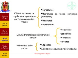 Tecido conjuntivo e adiposo
Estrutura
e função
Tipos de
células
Matriz
extracelular
Tecido
conjuntivo
Tecido
adiposo
Células residentes ou
regularmente presentes
no Tecido conjuntivo
Frouxo
•Fibroblastos
•Macrófagos do tecido conjuntivo
(histiócitos)
•Mastócitos
• Plasmócitos
Células transitórias que migram do
sangue
•Neutrófilos
•Eosinófilos
•Monócitos
•linfócitos
•Adipócitos
•Células mesenquimais indiferenciadas
Além disso pode
conter
Estrutura
e função
Tipos de
células
Matriz
extracelular
Tecido
conjuntivo
Tecido
cartilaginoso
Tecido
adiposo
 