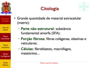 Tecido conjuntivo e adiposo
Citologia
Estrutura
e função
Tipos de
células
Matriz
extracelular
Tecido
conjuntivo
Tecido
adiposo
● Grande quantidade de material extracelular
(matriz):
– Parte não-estrutural: substância
fundamental amorfa (SFA);
– Porção fibrosa: fibras colágenas, elastinas e
reticulares;
– Células: fibroblastos, macrófagos,
mastócitos...
Estrutura
e função
Tipos de
células
Matriz
extracelular
Tecido
conjuntivo
Tecido
cartilaginoso
Tecido
adiposo
 
