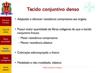 Tecido conjuntivo e adiposo
Tecido conjuntivo denso
● Adaptado a oferecer resistência compressiva aos órgãos.
●
Possui maior quantidade de fibras colágenas do que o tecido
conjuntivo frouxo
– Maior resistência compressiva
– Menor resistência elástica
●
Coloração esbranquiçada a fresco
●
Modelado e não-modelado, elástico
Estrutura
e função
Tipos de
células
Matriz
extracelular
Tecido
conjuntivo
Tecido
adiposo
Estrutura
e função
Tipos de
células
Matriz
extracelular
Tecido
conjuntivo
Tecido
cartilaginoso
Tecido
adiposo
 