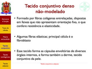 Tecido conjuntivo e adiposo
Tecido conjuntivo denso
não-modelado
●
Formado por fibras colágenas entrelaçadas, dispostas
em feixes que não apresentam orientação fixa, o que
confere resistência e elasticidade.
●
Algumas fibras elásticas; principal célula é o
fibroblasto
●
Esse tecido forma as cápsulas envoltórias de diversos
órgãos internos, e forma também a derme, tecido
conjuntivo da pele.
Estrutura
e função
Tipos de
células
Matriz
extracelular
Tecido
conjuntivo
Tecido
adiposo
Estrutura
e função
Tipos de
células
Matriz
extracelular
Tecido
conjuntivo
Tecido
cartilaginoso
Tecido
adiposo
 