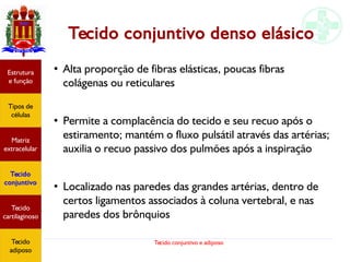 Tecido conjuntivo e adiposo
Tecido conjuntivo denso elásico
Estrutura
e função
Tipos de
células
Matriz
extracelular
Tecido
conjuntivo
Tecido
adiposo
●
Alta proporção de fibras elásticas, poucas fibras
colágenas ou reticulares
●
Permite a complacência do tecido e seu recuo após o
estiramento; mantém o fluxo pulsátil através das artérias;
auxilia o recuo passivo dos pulmões após a inspiração
●
Localizado nas paredes das grandes artérias, dentro de
certos ligamentos associados à coluna vertebral, e nas
paredes dos brônquios
Estrutura
e função
Tipos de
células
Matriz
extracelular
Tecido
conjuntivo
Tecido
cartilaginoso
Tecido
adiposo
 