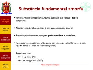 Tecido conjuntivo e adiposo
Substância fundamental amorfa
●
Parte da matriz extracelular: Circunda as células e as fibras do tecido
conjuntivo;
●
Não têm estrutura histológica e é por isso considerada amorfa;
●
Formada principalmente por água, polissacarídeos e proteínas.
●
Pode assumir consistência rígida, como por exemplo, no tecido ósseo; e mais
líquida, como é o caso do plasma sanguíneo;
●
Constituída por:
– Proteoglicanas (PG)
– Glicosaminoglicanas (GAG)
Estrutura
e função
Tipos de
células
Matriz
extracelular
Tecido
conjuntivo
Tecido
adiposo
Estrutura
e função
Tipos de
células
Matriz
extracelular
Tecido
conjuntivo
Tecido
cartilaginoso
Tecido
adiposo
 