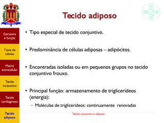 Tecido conjuntivo e adiposo
Tecido adiposo
● Tipo especial de tecido conjuntivo.
● Predominância de células adiposas – adipócitos.
● Encontradas isoladas ou em pequenos grupos no tecido
conjuntivo frouxo.
● Principal função: armazenamento de triglicerídeos
(energia):
– Moléculas de triglicerídeos: continuamente renovadas
Estrutura
e função
Tipos de
células
Matriz
extracelular
Tecido
conjuntivo
Tecido
cartilaginoso
Tecido
adiposo
 