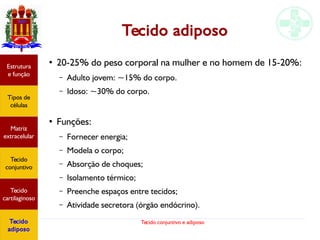 Tecido conjuntivo e adiposo
Tecido adiposo
●
20-25% do peso corporal na mulher e no homem de 15-20%:
– Adulto jovem: ~15% do corpo.
– Idoso: ~30% do corpo.
●
Funções:
– Fornecer energia;
– Modela o corpo;
– Absorção de choques;
– Isolamento térmico;
– Preenche espaços entre tecidos;
– Atividade secretora (órgão endócrino).
Estrutura
e função
Tipos de
células
Matriz
extracelular
Tecido
conjuntivo
Tecido
cartilaginoso
Tecido
adiposo
 