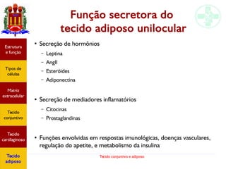 Tecido conjuntivo e adiposo
Função secretora do
tecido adiposo unilocular
●
Secreção de hormônios
– Leptina
– AngII
– Esteróides
– Adiponectina
●
Secreção de mediadores inflamatórios
– Citocinas
– Prostaglandinas
●
Funções envolvidas em respostas imunológicas, doenças vasculares,
regulação do apetite, e metabolismo da insulina
Estrutura
e função
Tipos de
células
Matriz
extracelular
Tecido
conjuntivo
Tecido
cartilaginoso
Tecido
adiposo
 