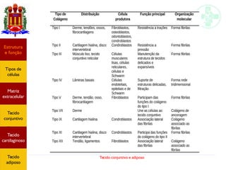 Tecido conjuntivo e adiposo
Estrutura
e função
Tipos de
células
Matriz
extracelular
Tecido
conjuntivo
Tecido
adiposo
Estrutura
e função
Tipos de
células
Matriz
extracelular
Tecido
conjuntivo
Tecido
cartilaginoso
Tecido
adiposo
 
