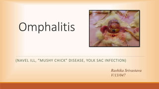 Omphalitis
(NAVEL ILL, “MUSHY CHICK” DISEASE, YOLK SAC INFECTION)
Rashika Srivastava
V/13/047
 