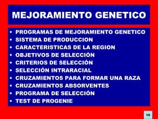 MEJORAMIENTO GENETICO
• PROGRAMAS DE MEJORAMIENTO GENETICO
• SISTEMA DE PRODUCCION
• CARACTERISTICAS DE LA REGION
• OBJETIVOS DE SELECCIÓN
• CRITERIOS DE SELECCIÓN
• SELECCIÓN INTRARACIAL
• CRUZAMIENTOS PARA FORMAR UNA RAZA
• CRUZAMIENTOS ABSORVENTES
• PROGRAMA DE SELECCIÓN
• TEST DE PROGENIE
10
 