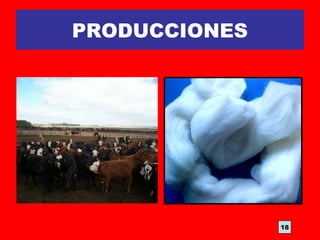 PRODUCCIONES
18
 