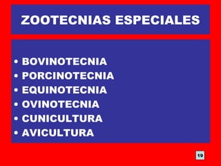 ZOOTECNIAS ESPECIALES
• BOVINOTECNIA
• PORCINOTECNIA
• EQUINOTECNIA
• OVINOTECNIA
• CUNICULTURA
• AVICULTURA
19
 