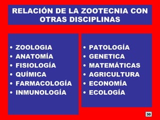 RELACIÓN DE LA ZOOTECNIA CON
OTRAS DISCIPLINAS
• ZOOLOGIA
• ANATOMÍA
• FISIOLOGÍA
• QUÍMICA
• FARMACOLOGÍA
• INMUNOLOGÍA
• PATOLOGÍA
• GENETICA
• MATEMÁTICAS
• AGRICULTURA
• ECONOMÍA
• ECOLOGÍA
30
 