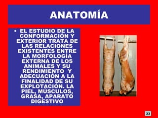 ANATOMÍA
• EL ESTUDIO DE LA
CONFORMACIÓN Y
EXTERIOR TRATA DE
LAS RELACIONES
EXISTENTES ENTRE
LA MORFOLOGÍA
EXTERNA DE LOS
ANIMALES Y SU
RENDIMIENTO Y
ADECUACIÓN A LA
FINALIDAD DE SU
EXPLOTACIÓN. LA
PIEL, MÚSCULOS,
GRASA, APARATO
DIGESTIVO
33
 