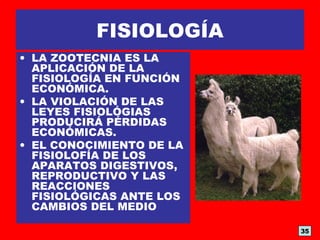 FISIOLOGÍA
• LA ZOOTECNIA ES LA
APLICACIÓN DE LA
FISIOLOGÍA EN FUNCIÓN
ECONÓMICA.
• LA VIOLACIÓN DE LAS
LEYES FISIOLÓGIAS
PRODUCIRÁ PÉRDIDAS
ECONÓMICAS.
• EL CONOCIMIENTO DE LA
FISIOLOFÍA DE LOS
APARATOS DIGESTIVOS,
REPRODUCTIVO Y LAS
REACCIONES
FISIOLÓGICAS ANTE LOS
CAMBIOS DEL MEDIO
35
 