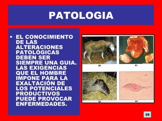 PATOLOGIA
• EL CONOCIMIENTO
DE LAS
ALTERACIONES
PATOLÓGICAS
DEBEN SER
SIEMPRE UNA GUIA.
LAS EXIGENCIAS
QUE EL HOMBRE
IMPONE PARA LA
EXALTACIÓN DE
LOS POTENCIALES
PRODUCTIVOS
PUEDE PROVOCAR
ENFERMEDADES.
39
 