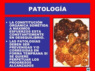 PATOLOGÍA
• LA CONSTITUCIÓN
ORGÁNICA SOMETIDA
A MÁXIMOS
ESFUERZOS ESTA
CONSTANTEMENTE
EN DESEQUILIBRIO.
• LAS PATOLOGÍAS
DEBEN SER
PREVENIDAS Y/O
CORREGIDAS EN
FORMA TEMPRANA SI
SE QUIERE
PERPETUAR LOS
PROGRESOS
ALCANZADOS
40
 