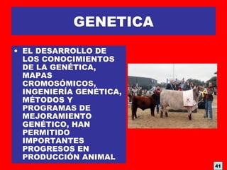 GENETICA
• EL DESARROLLO DE
LOS CONOCIMIENTOS
DE LA GENÉTICA,
MAPAS
CROMOSÓMICOS,
INGENIERÍA GENÉTICA,
MÉTODOS Y
PROGRAMAS DE
MEJORAMIENTO
GENÉTICO, HAN
PERMITIDO
IMPORTANTES
PROGRESOS EN
PRODUCCIÓN ANIMAL
41
 