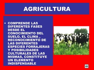 AGRICULTURA
• COMPRENDE LAS
DIFERENTES FASES
DESDE EL
CONOCIMIENTO DEL
SUELO, EL CLIMA ,
RECONOCIMIENTO DE
LAS DIFERENTES
ESPECIES FORRAJERAS
Y POSIBILIDADES
CULTURALES DE LAS
MISMAS, CONSTITUYE
UN ELEMENTO
INDISPENSABLE
43
 