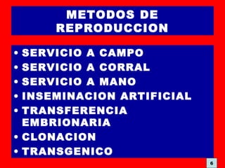 METODOS DE
REPRODUCCION
• SERVICIO A CAMPO
• SERVICIO A CORRAL
• SERVICIO A MANO
• INSEMINACION ARTIFICIAL
• TRANSFERENCIA
EMBRIONARIA
• CLONACION
• TRANSGENICO
6
 
