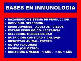 BASES EN INMUNOLOGIA
• RAZA/REGION/SISTEMA DE PRODUCCION
• INDIVIDUO: SELECCIÓN
• EDAD: JOVENES – ADULTOS - VIEJOS
• ESTADO FISIOLÓGICO: LACTANCIA
• SELECCIÓN: HEREDABILIDAD
• NUTRICION: CANTIDAD Y CALIDAD
• BIENESTAR ANIMAL: ESTRÉS
• ACTIVA (VACUNAS)
• PASIVA (CALOSTRO)
• DURACION: 6 MESES – 1 AÑO – > DE 1 AÑO
 