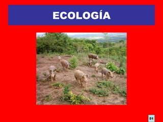 ECOLOGÍA
51
 