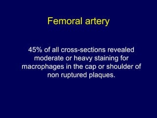 Femoral artery
45% of all cross-sections revealed
moderate or heavy staining for
macrophages in the cap or shoulder of
non ruptured plaques.
 