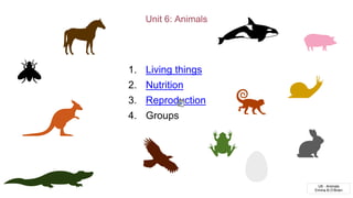 U6 - Animals
Emma B.O’Brien
1. Living things
2. Nutrition
3. Reproduction
4. Groups
 