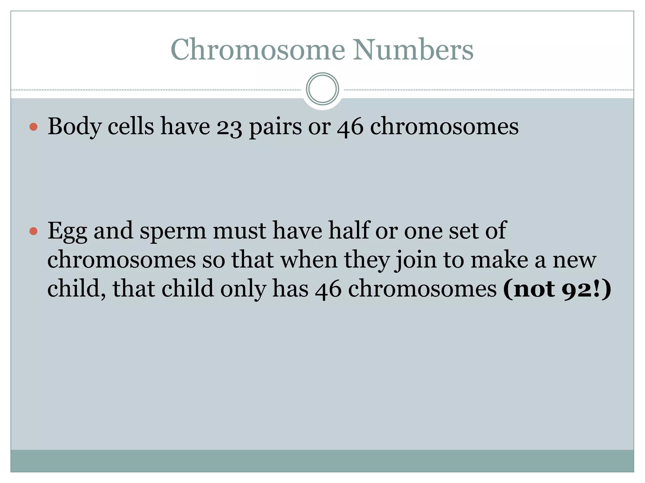 Chromosome Numbers
 Body cells have 23 pairs or 46 chromosomes
 Egg and sperm must have half or one set of
chromosomes so that when they join to make a new
child, that child only has 46 chromosomes (not 92!)
 