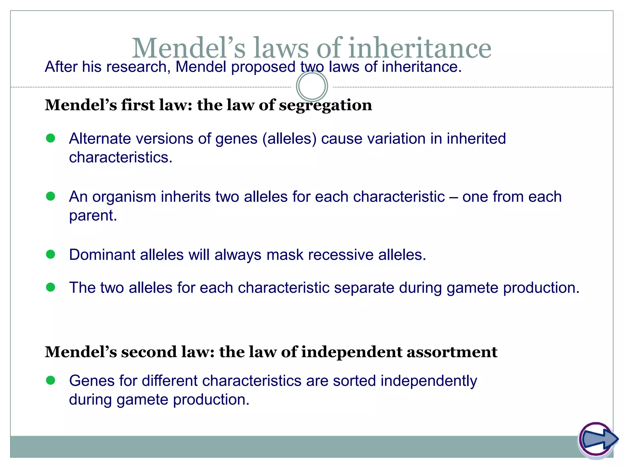 Mendel’s laws of inheritanceAfter his research, Mendel proposed two laws of inheritance.
Mendel’s first law: the law of segregation
Mendel’s second law: the law of independent assortment
 Alternate versions of genes (alleles) cause variation in inherited
characteristics.
 An organism inherits two alleles for each characteristic – one from each
parent.
 Dominant alleles will always mask recessive alleles.
 The two alleles for each characteristic separate during gamete production.
 Genes for different characteristics are sorted independently
during gamete production.
 
