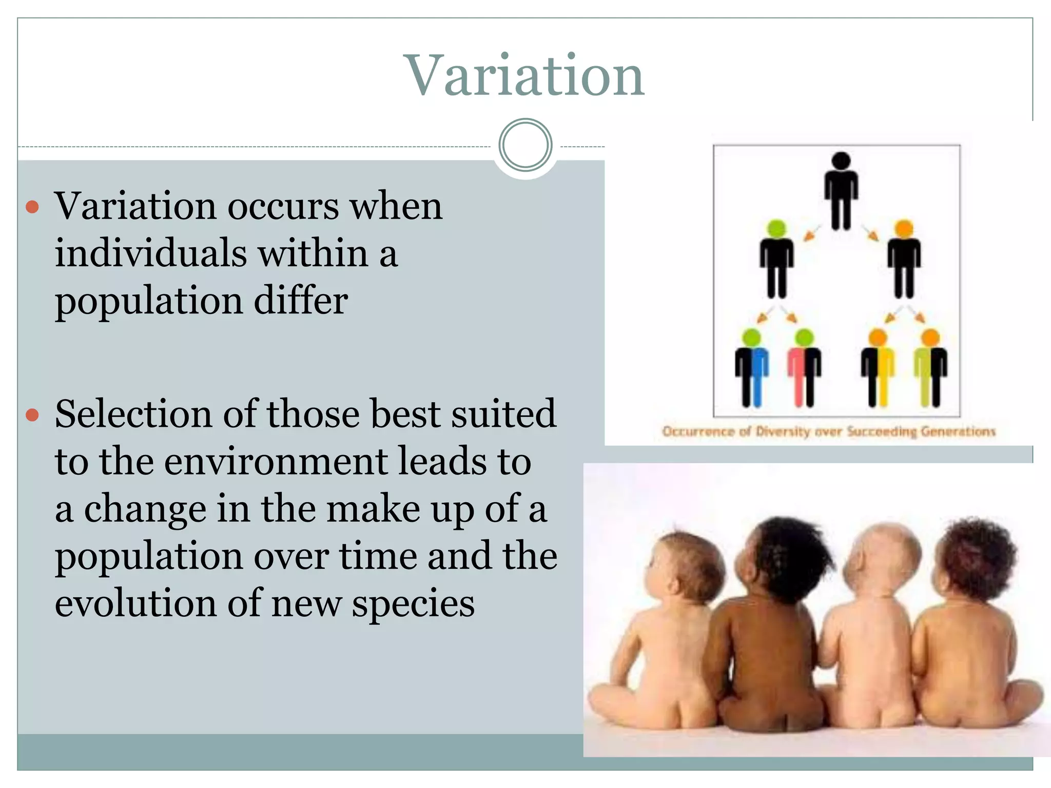 Variation
 Variation occurs when
individuals within a
population differ
 Selection of those best suited
to the environment leads to
a change in the make up of a
population over time and the
evolution of new species
 