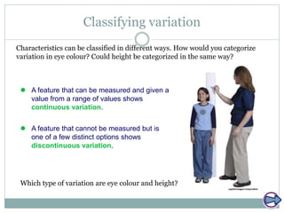 Classifying variation
Characteristics can be classified in different ways. How would you categorize
variation in eye colour? Could height be categorized in the same way?
 A feature that can be measured and given a
value from a range of values shows
continuous variation.
 A feature that cannot be measured but is
one of a few distinct options shows
discontinuous variation.
Which type of variation are eye colour and height?
 