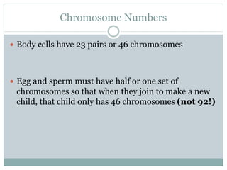 Chromosome Numbers
 Body cells have 23 pairs or 46 chromosomes
 Egg and sperm must have half or one set of
chromosomes so that when they join to make a new
child, that child only has 46 chromosomes (not 92!)
 