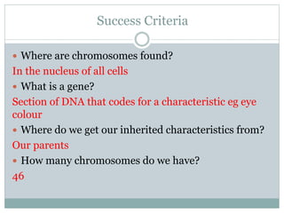 Success Criteria
 Where are chromosomes found?
In the nucleus of all cells
 What is a gene?
Section of DNA that codes for a characteristic eg eye
colour
 Where do we get our inherited characteristics from?
Our parents
 How many chromosomes do we have?
46
 