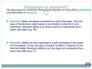 Dominant or recessive?
 Dominant alleles are always expressed in a cell’s phenotype. Only one
copy of the dominant allele needs to be inherited in order for it to be
expressed. Dominant alleles (e.g. brown eyes) are represented by an
upper case letter (e.g. ‘B’).
The phenotype for a particular characteristic depends on which allele is dominant
and which allele is recessive.
 Recessive alleles are only expressed in a cell’s phenotype if two copies
of it are present. If only one copy is present, its effect is ‘masked’ by the
dominant allele. Recessive alleles (e.g. blue eyes) are represented by a
lower case letter (e.g. ‘b’).
 