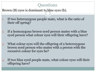 Questions
Brown (B) eyes is dominant to blue eyes (b).
1. If two heterozygous people mate, what is the ratio of
their off spring?
2. If a homozygous brown eyed person mates with a blue
eyed person what colour eyes will their offspring have?
3. What colour eyes will the offspring of a heterozygous
brown eyed person who mates with a person with the
recessive colour for eyes be?
4. If two blue eyed people mate, what colour eyes will their
offspring have?
 