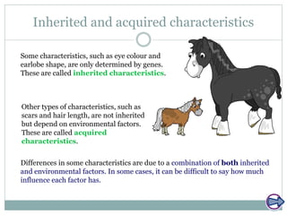 Inherited and acquired characteristics
Differences in some characteristics are due to a combination of both inherited
and environmental factors. In some cases, it can be difficult to say how much
influence each factor has.
Other types of characteristics, such as
scars and hair length, are not inherited
but depend on environmental factors.
These are called acquired
characteristics.
Some characteristics, such as eye colour and
earlobe shape, are only determined by genes.
These are called inherited characteristics.
 