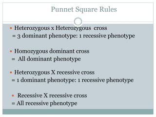 Punnet Square Rules
 Heterozygous x Heterozygous cross
= 3 dominant phenotype: 1 recessive phenotype
 Homozygous dominant cross
= All dominant phenotype
 Heterozygous X recessive cross
= 1 dominant phenotype: 1 recessive phenotype
 Recessive X recessive cross
= All recessive phenotype
 