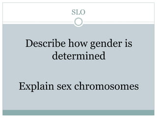 SLO
Describe how gender is
determined
Explain sex chromosomes
 