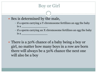 Boy or Girl
 Sex is determined by the male,
 if a sperm carrying a Y chromosome fertilizes an egg the baby
is a _______________
 if a sperm carrying an X chromosome fertilizes an egg the baby
is a _______________
 There is a 50% chance of a baby being a boy or
girl, no matter how many boys in a row are born
there will always be a 50% chance the next one
will also be a boy
 