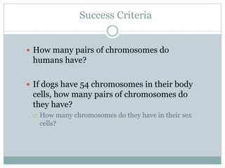 Success Criteria
 How many pairs of chromosomes do
humans have?
 If dogs have 54 chromosomes in their body
cells, how many pairs of chromosomes do
they have?
 How many chromosomes do they have in their sex
cells?
 