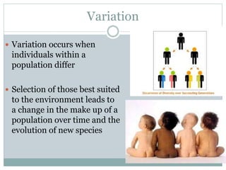 Variation
 Variation occurs when
individuals within a
population differ
 Selection of those best suited
to the environment leads to
a change in the make up of a
population over time and the
evolution of new species
 