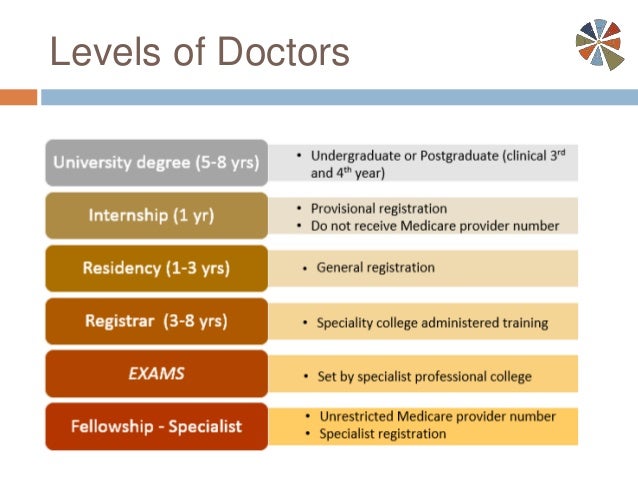 Levels Of Doctors Usa , Primary Care in the US: A Chartbook of Facts ...