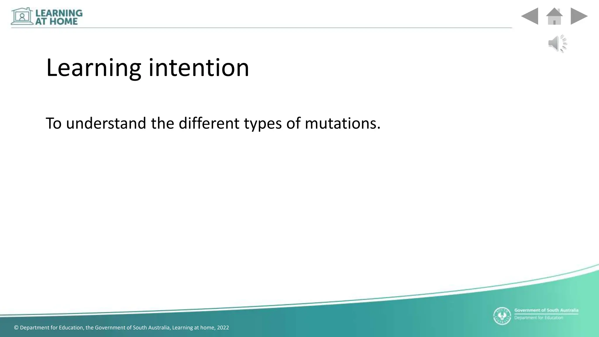 Grade 10 lesson about types of mutations | PPTX