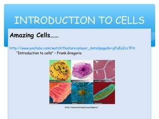 Amazing Cells……
http://www.youtube.com/watch?feature=player_detailpage&v=gFuEo2ccTPA
“Introduction to cells” – Frank Gregorio
http://education.kqed.org/edspace/
INTRODUCTION TO CELLS
 