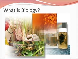 What is Biology?  