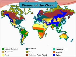 Shrubland Biomes of the World 