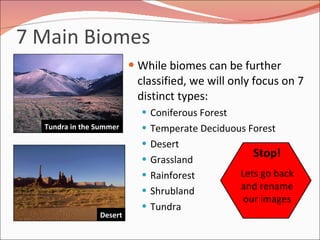 7 Main Biomes While biomes can be further classified, we will only focus on 7 distinct types:  Coniferous Forest Temperate Deciduous Forest Desert Grassland Rainforest Shrubland Tundra Tundra in the Summer Desert Stop! Lets go back and rename our images 