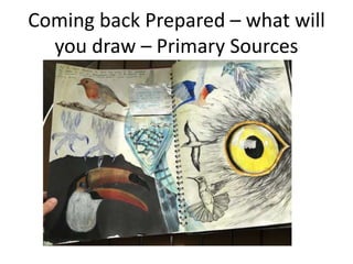 Coming back Prepared – what will
you draw – Primary Sources
 